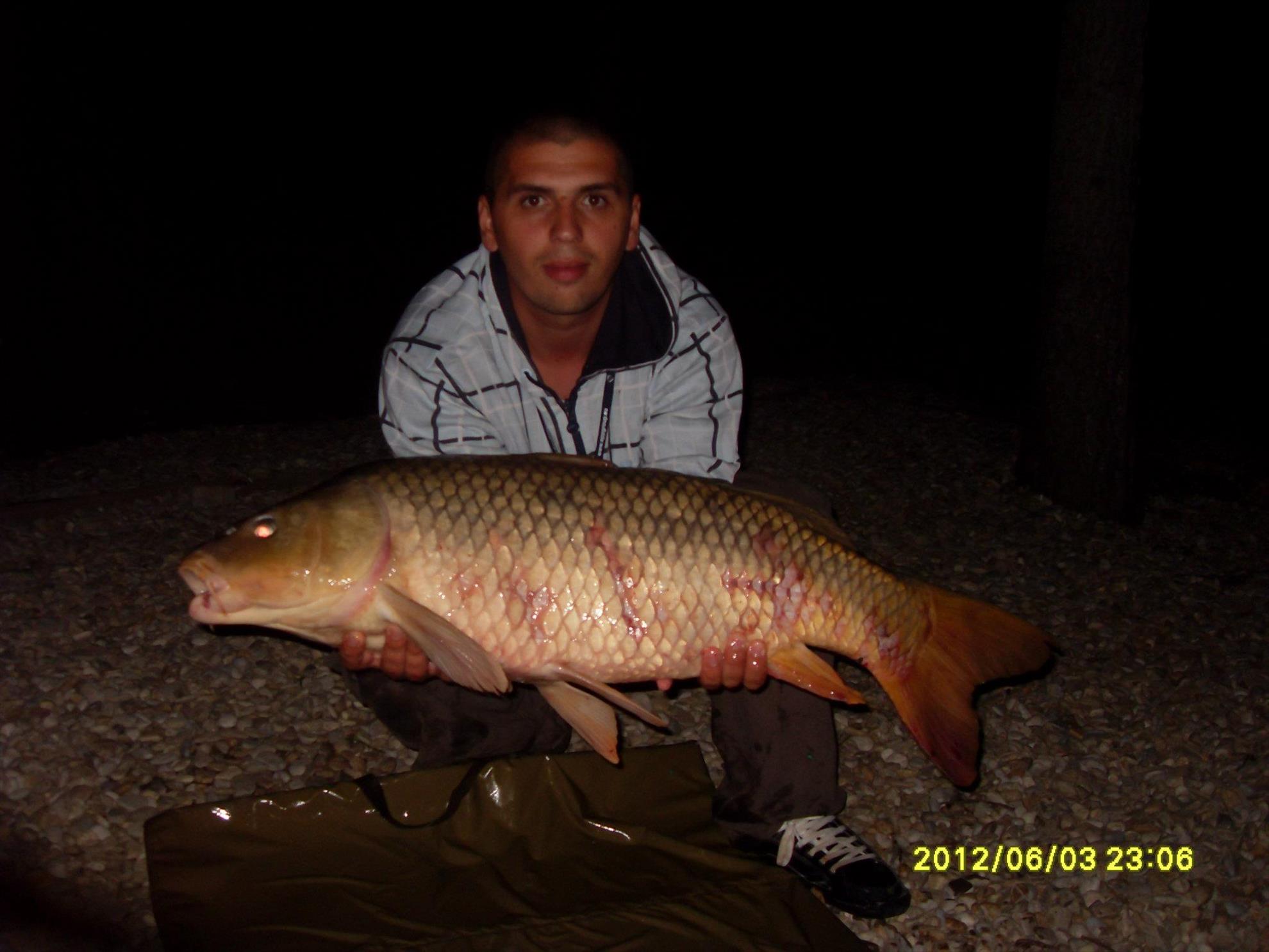 Crapturi - 4792762374682797018971285205828o.jpg